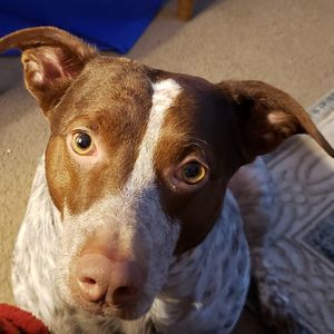 Meet your Posher, Tracy